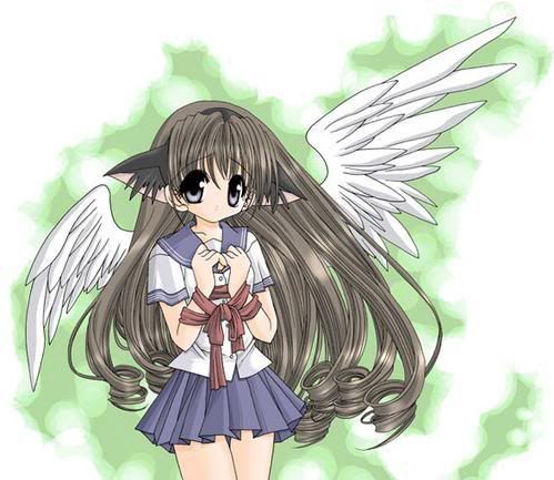 Anime Neko Angel
Pictures, Images and Photos