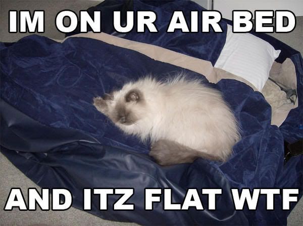 flat-air-bed.jpg