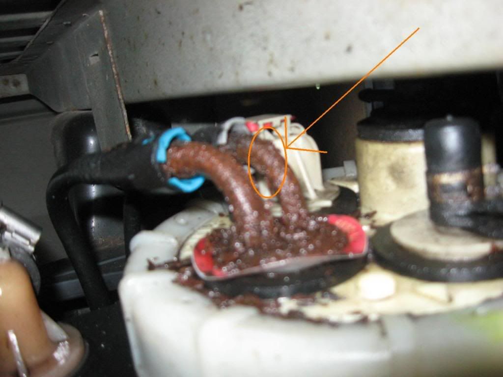 Leaking fuel pump Dodge Cummins Diesel Forum