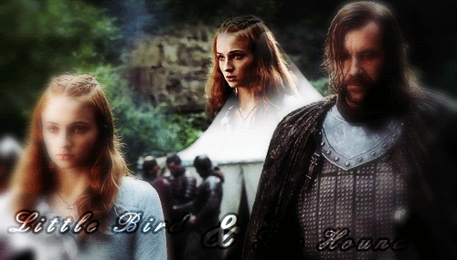 Sansa Stark and Sandor Clegane