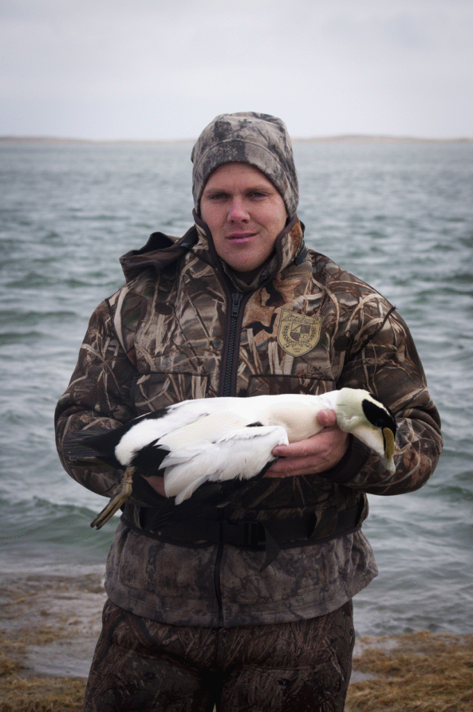 Cape Cod Eider Hunt Duck Hunting Forum