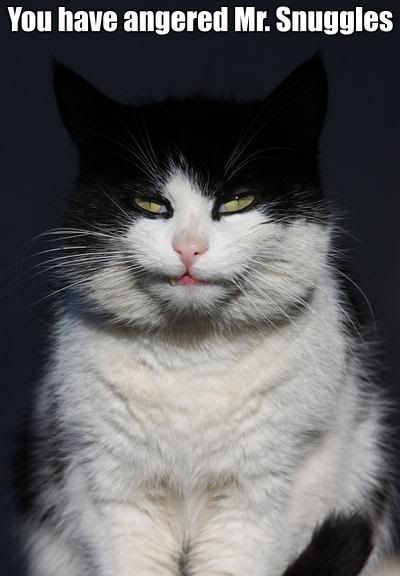 cat_angry2.jpg