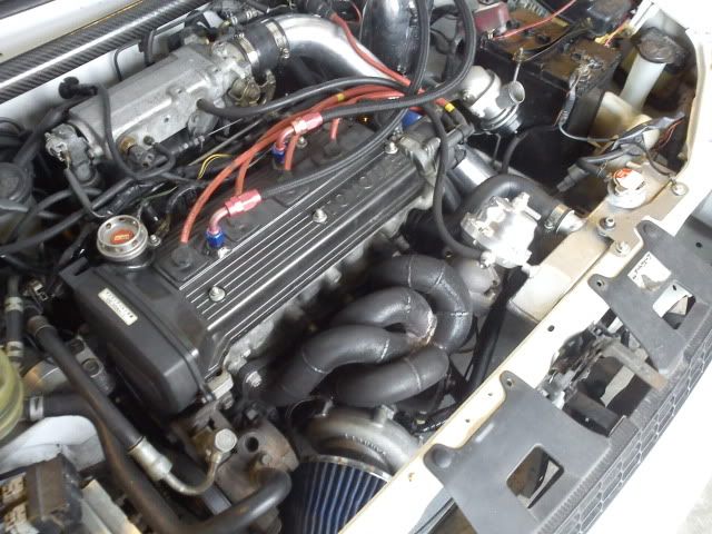 DSC00405.jpg
