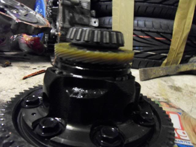 SDC10090-1.jpg