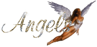 Angel Logo 2