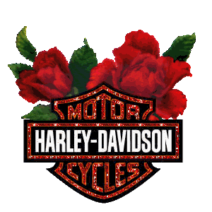Harley Davidson Roses