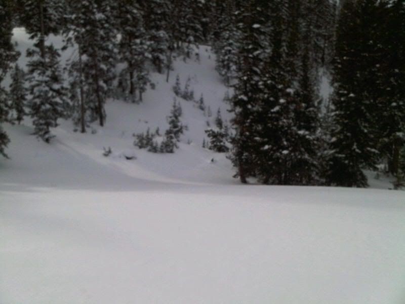 IMG00029-20091215-1422.jpg