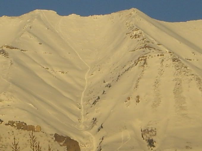 Timp2192008.jpg