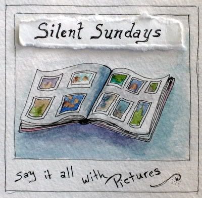Silent Sundays