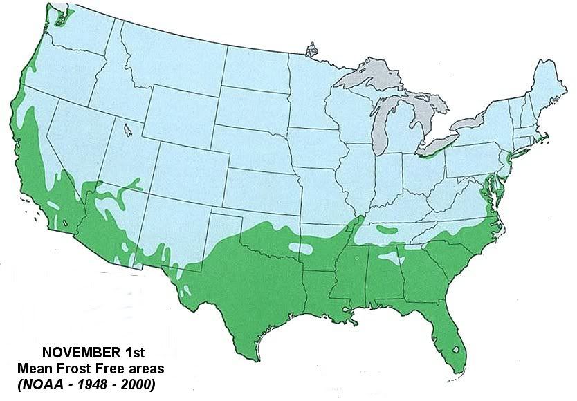 Arrival of frost (snowfall, recorded, temperatures, night) Weather