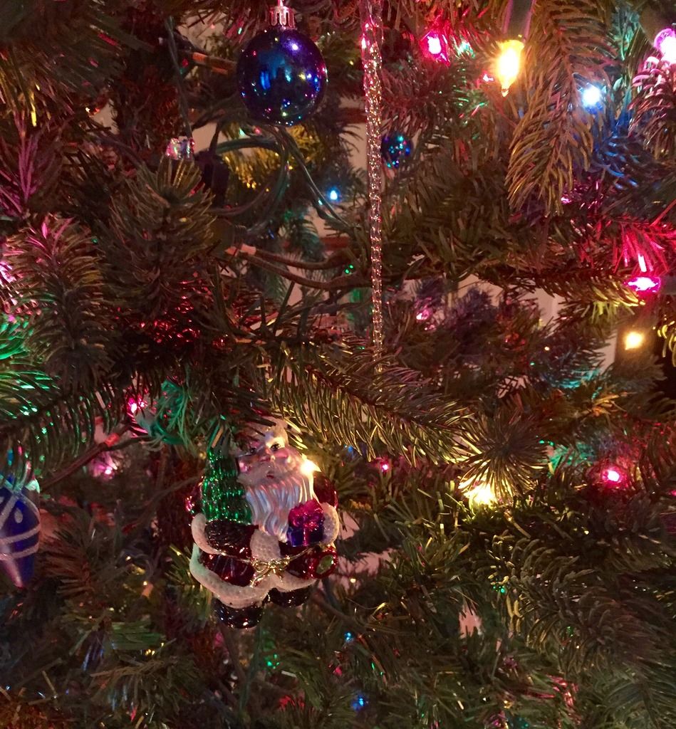  photo 96B9298B-6D0E-450A-8012-CC5013420D42.jpg