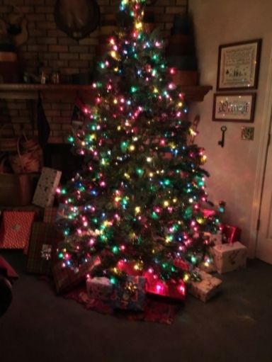  photo f54d9358-350e-40f8-abd7-a162812ba76a.jpg