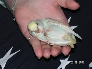 PICT0363.jpg