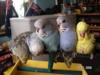 PICT0388.jpg