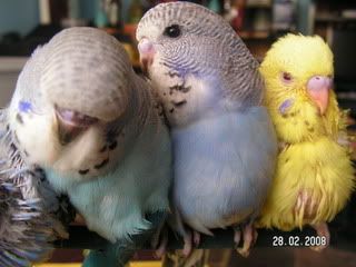 PICT0391.jpg