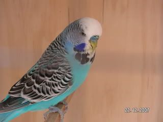 PICT0394.jpg
