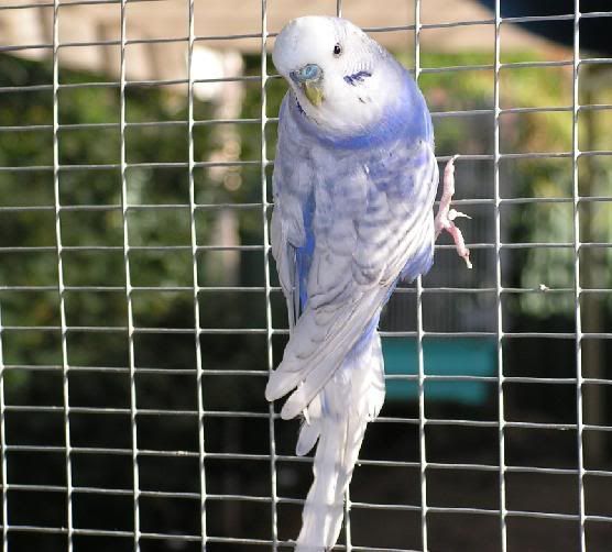 R1.jpg