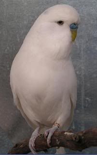 b7.jpg
