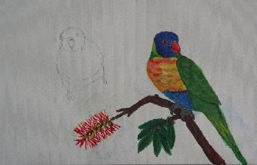 bird1.jpg