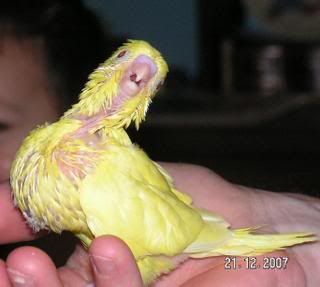 honey2.jpg