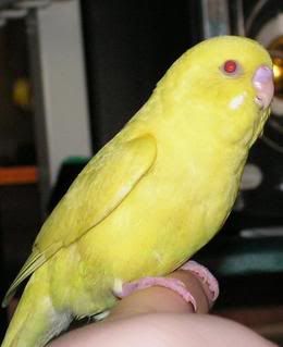 honey8.jpg