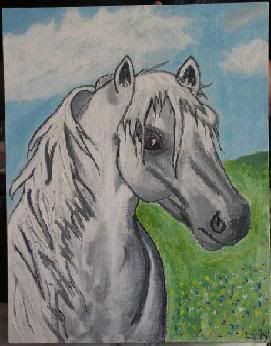 horse1.jpg