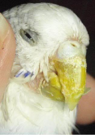 sick5.jpg