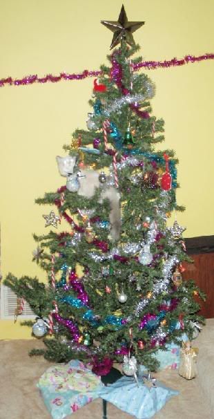 tree1.jpg