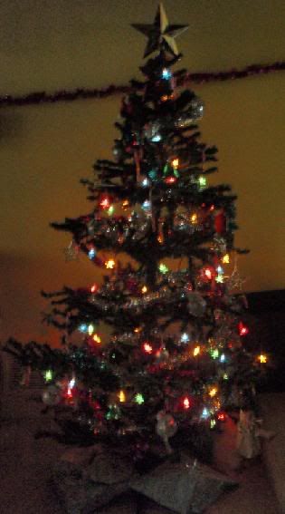 tree2.jpg