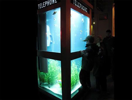 Aquário na cabine telefônica