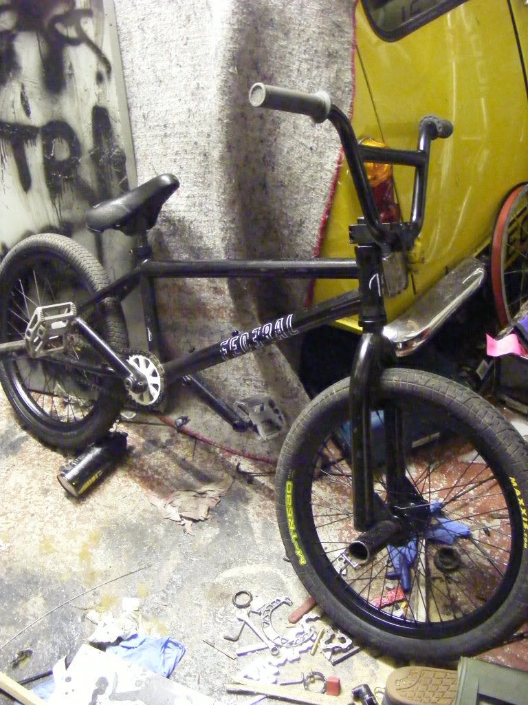 bmx001.jpg