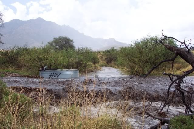 flashflood004.jpg