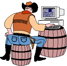 computer cowboy