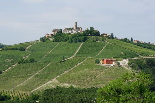 Winestar discount coupons