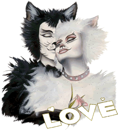 Kitty Cat Love