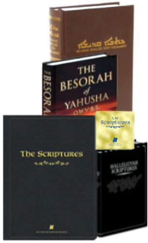 Scripture Books