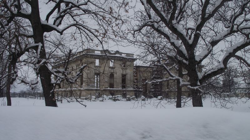 Palatul Cantacuzino, Micul Trianon, Palatul Domnitei