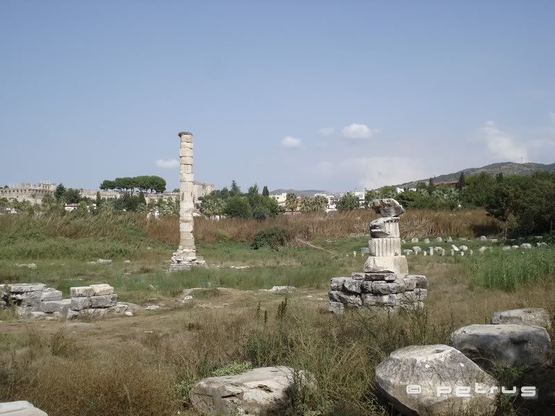 Artemis' Temple