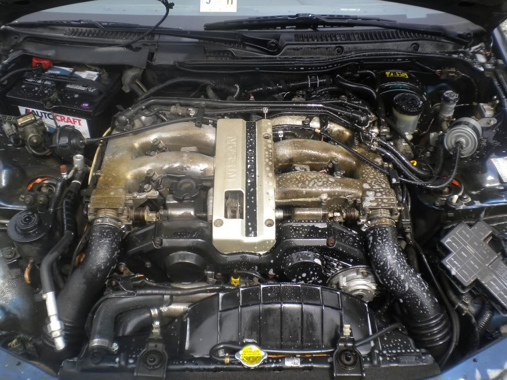 [Image: DSCN1497.jpg]