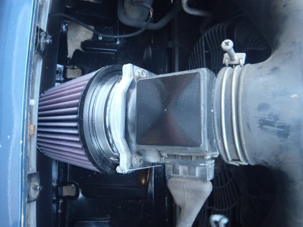 [Image: P3070003.jpg]