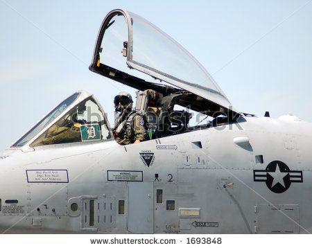 stock-photo-a-warthog-and-pilot-1693848_zpsf6fa2d19.jpg
