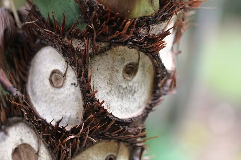 IMAGE: http://i236.photobucket.com/albums/ff24/Zabrau/IMG_0177.jpg