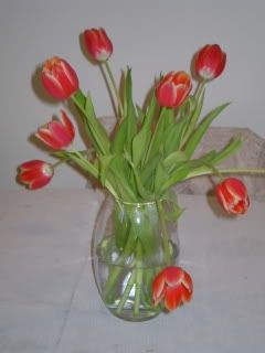 tulips 2