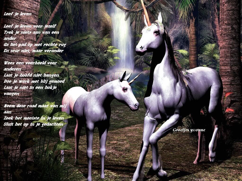 faunicornsanctuaryyq3.jpg picture by roosje54