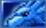 Blue Dragon Blue Dragon