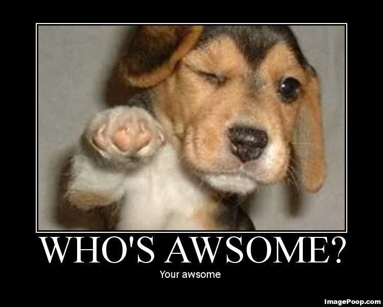 who's awsome Pictures, Images and Photos
