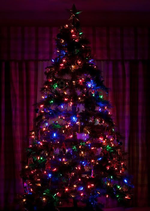 IMAGE: http://i236.photobucket.com/albums/ff31/EJB2007/121808_0004_edited-2.jpg