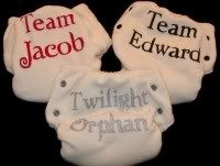 HALF OFF SALE!!! Hand Painted Team Edward and Twilight Orphan WOS Covers
