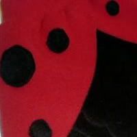 Ladybug Picnic Collaboration *48 Hour Auction*