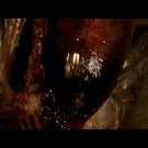 thAlien_3_Gif.gif